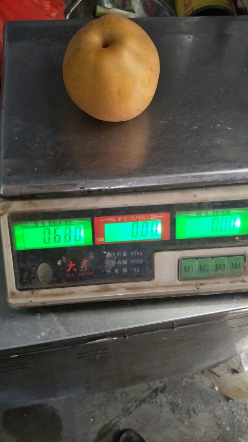 晚秋黄梨半斤起步手选可扒袋