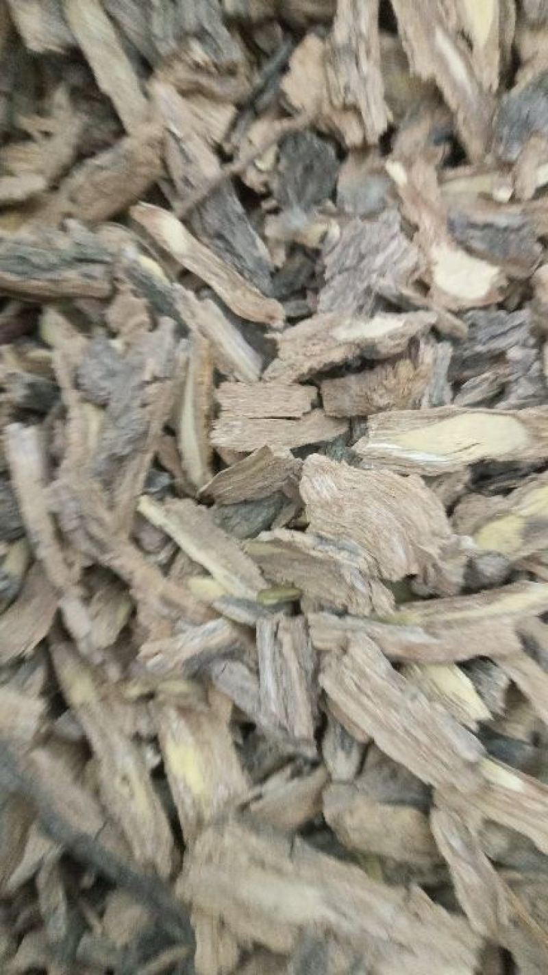 地骨皮