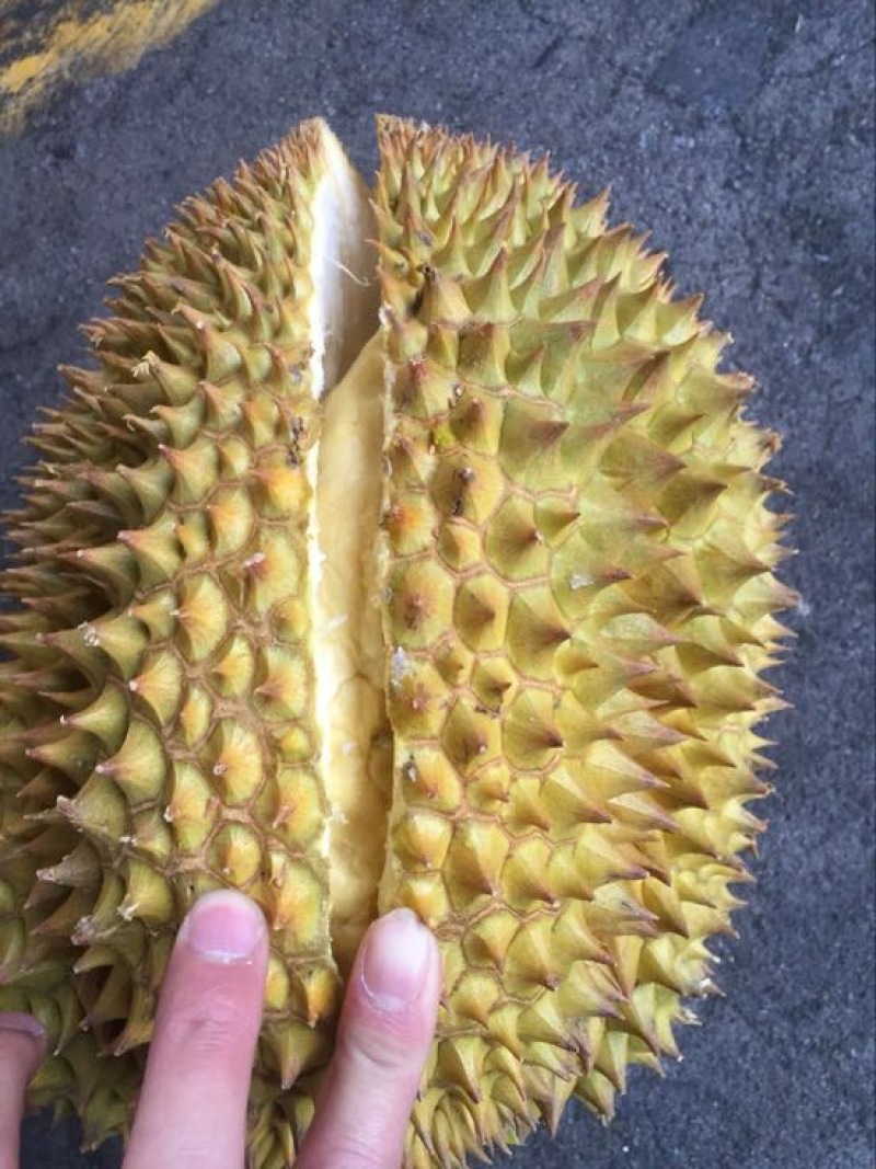 【有好货】泰国越南金枕头A果B果榴莲果型饱满，干包黄肉
