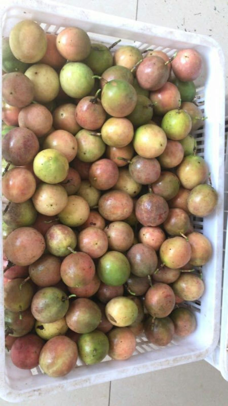 百香果