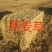 燕麦