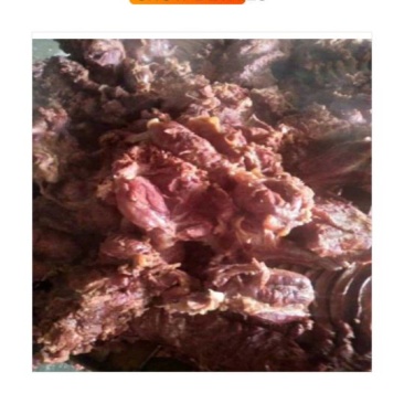 正宗驴肉火烧皮批发