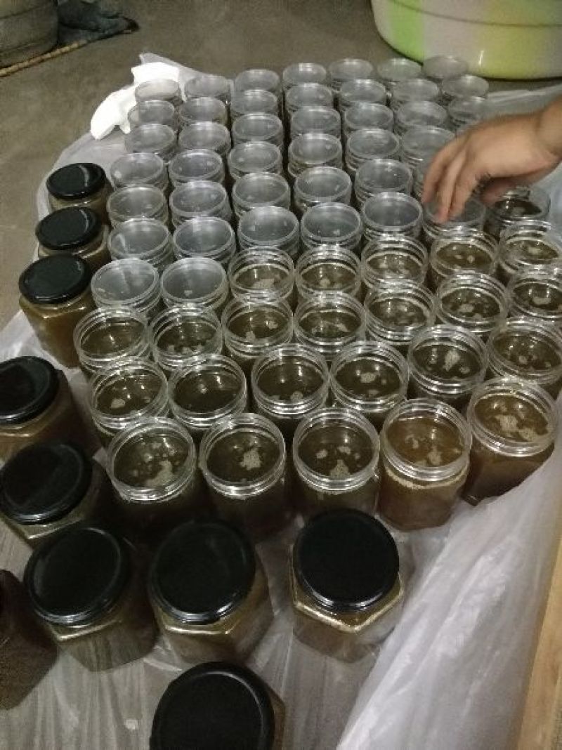 蜂蜜，注册商标:乌蒙馨蜜