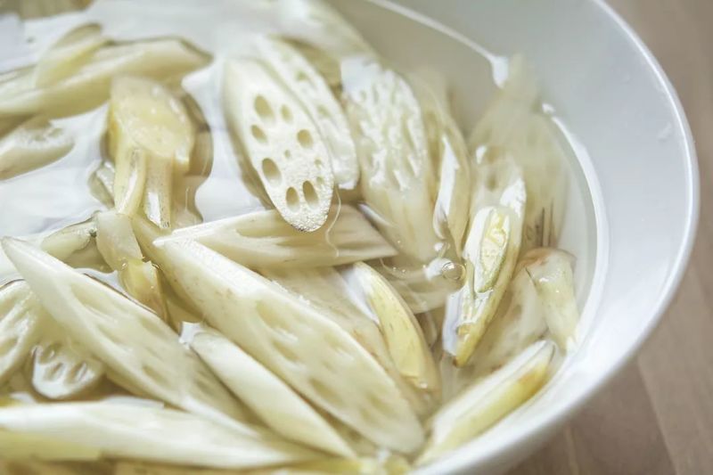 湖湘潭莲藕批发
