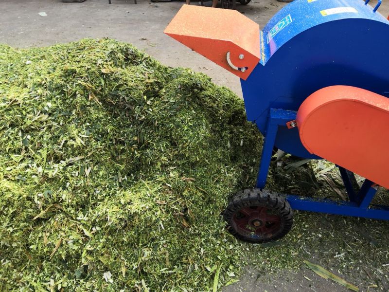 多功能秸秆揉丝机干湿两用良好做工厂家直销