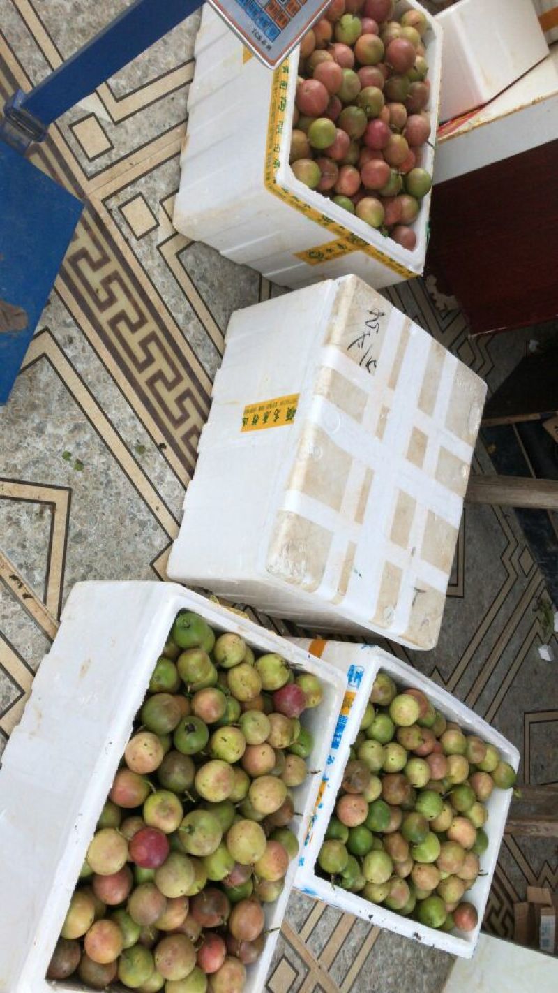 百香果十斤包邮