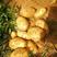 陕北榆林V系列土豆大量上市品种有V7，V8等