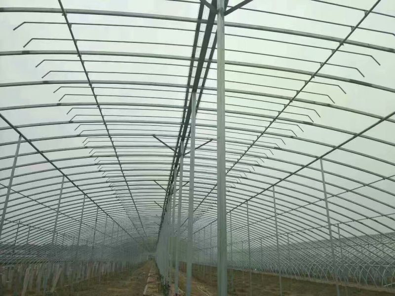 日光温室大棚建造免费设计设计，抗压抗风温度好