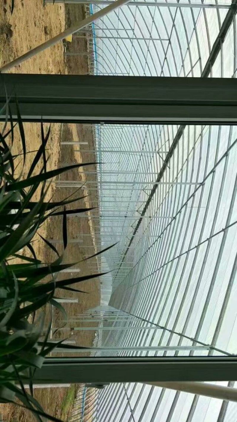日光温室大棚建造免费设计设计，抗压抗风温度好
