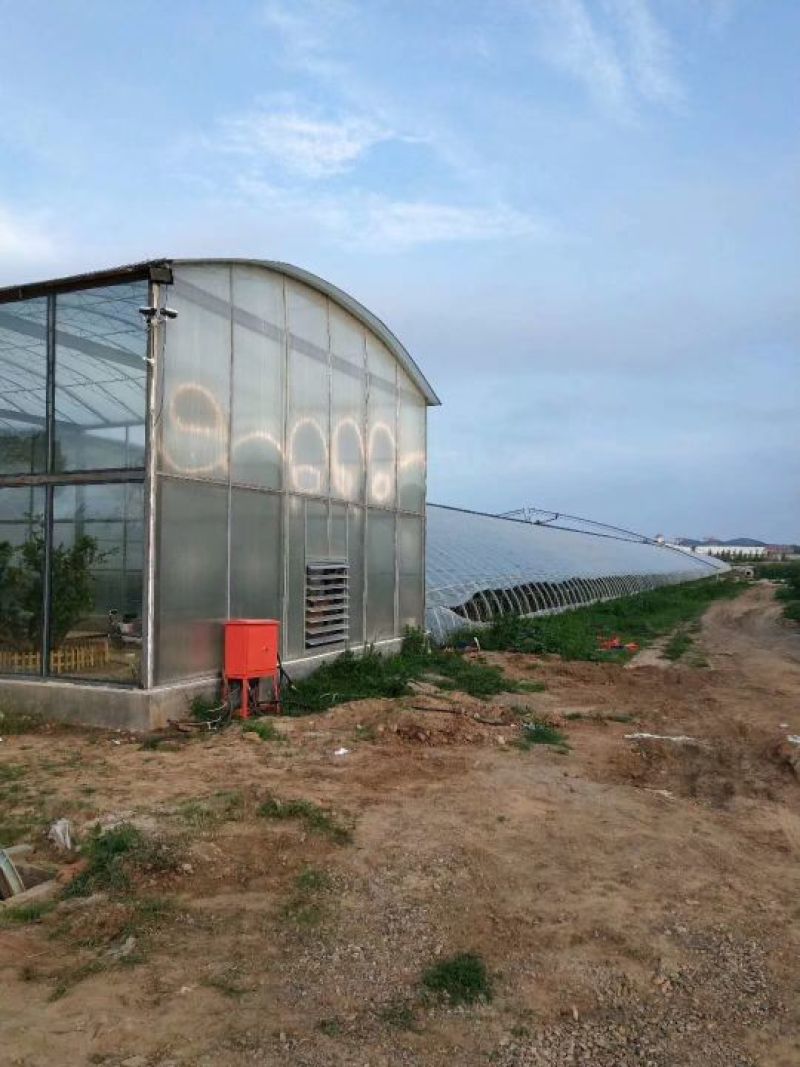 日光温室大棚建造免费设计设计，抗压抗风温度好