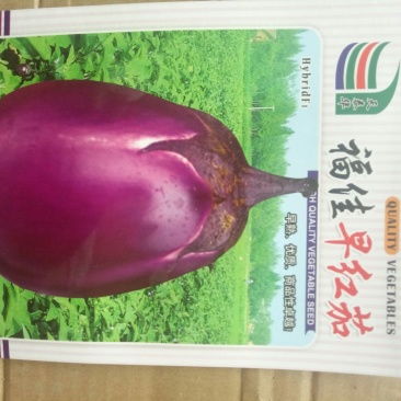 茄子种子福佳早红茄圆茄