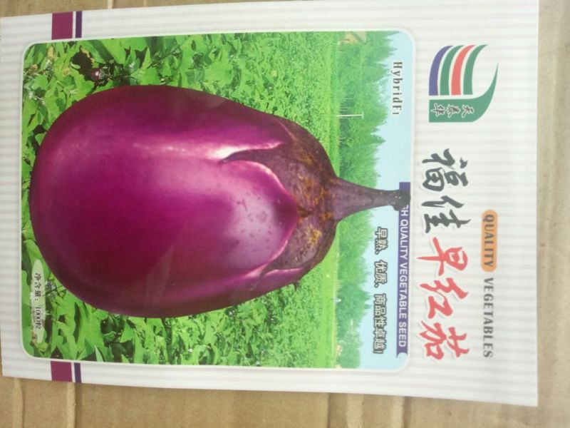 茄子种子福佳早红茄圆茄