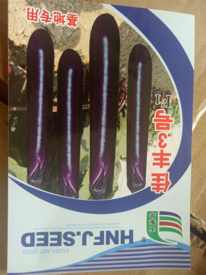 佳丰三号长茄茄子种子