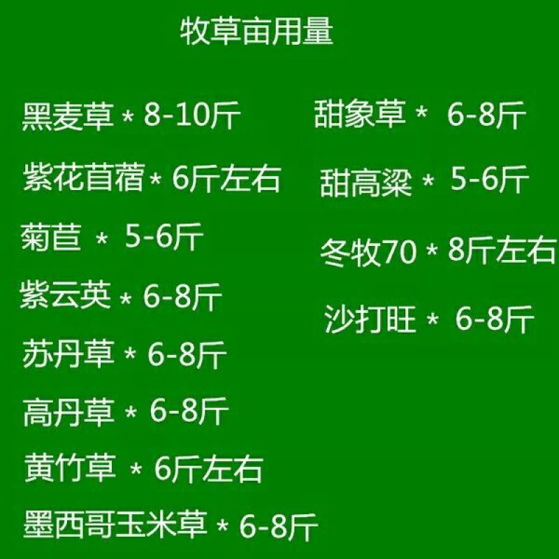黄竹草种子皇竹草种子甜象草种子粮竹草王草杂交牧草种子