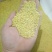 紫花苜蓿种子四季播种喂猪牛羊鸡鹅鸭兔鱼草