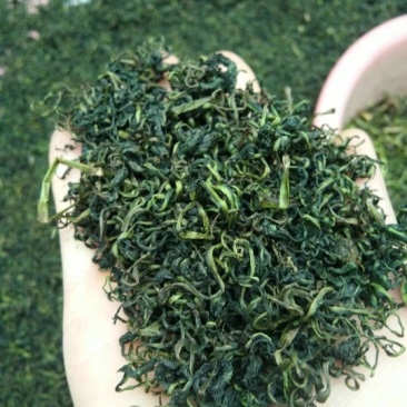 蒲公英茶，来自河南万亩蒲公英基地。