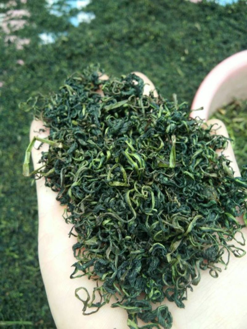 蒲公英茶，来自河南万亩蒲公英基地。