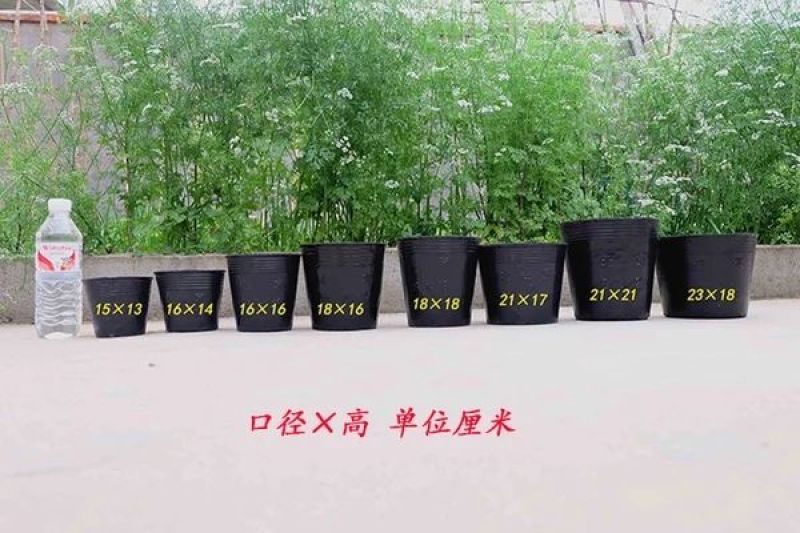 营养钵营养钵育苗盆种植穴盘塑料营养袋育苗袋一次性花盆营养