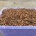 正宗野生高海拔冬虫夏草假一赔十支持视频看货