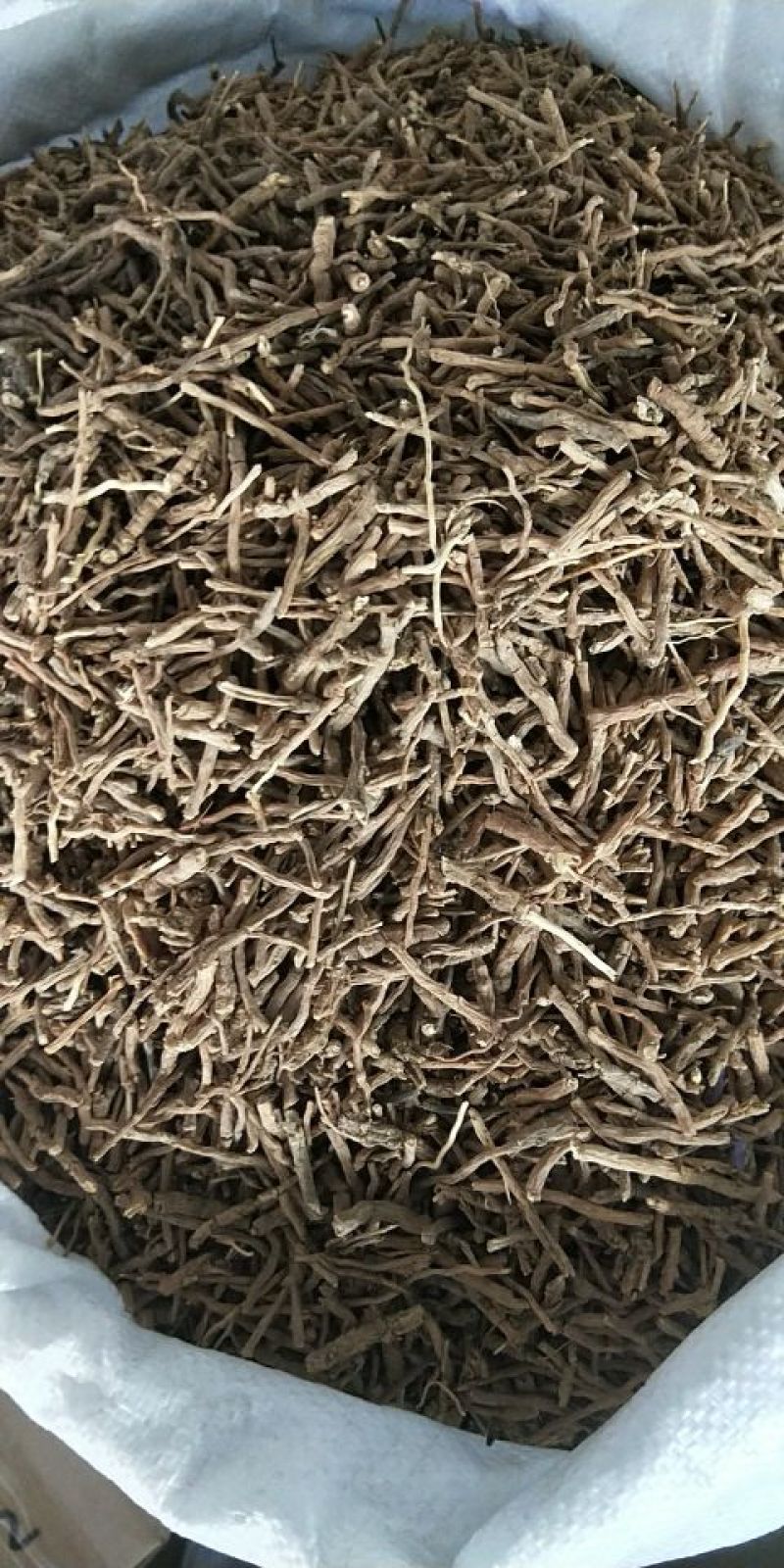 中药材抽芯率高远志远志肉新货无硫支持药检