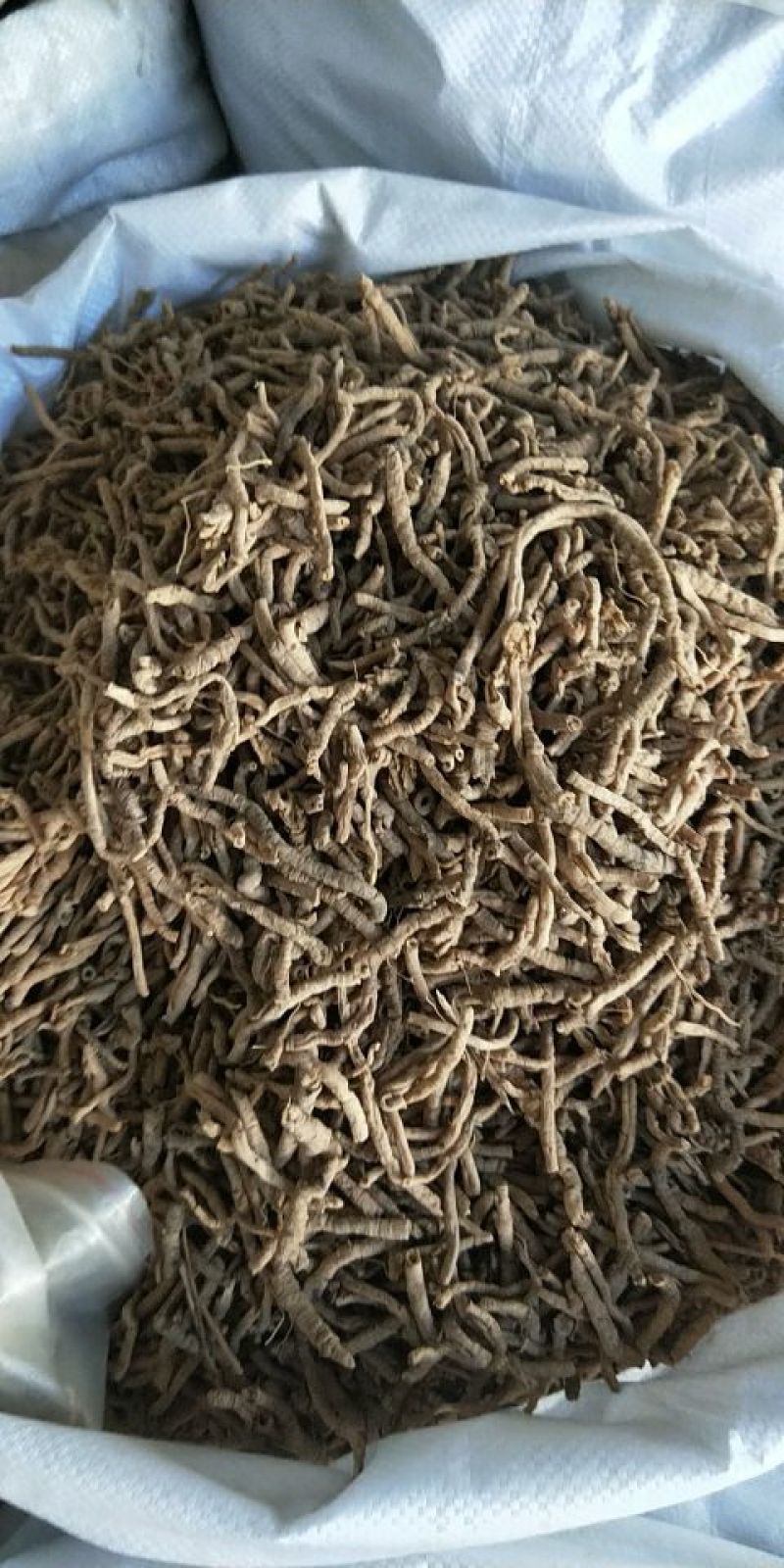 中药材抽芯率高远志远志肉新货无硫支持药检