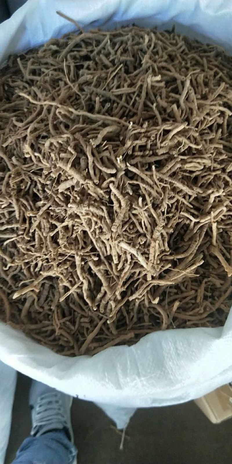 中药材抽芯率高远志远志肉新货无硫支持药检