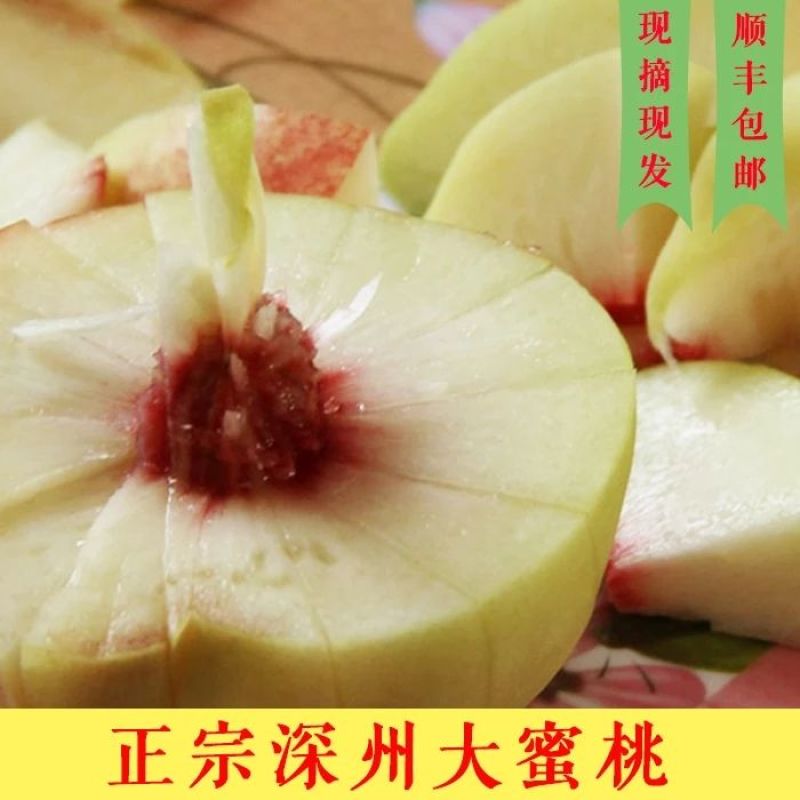 正宗深州蜜桃