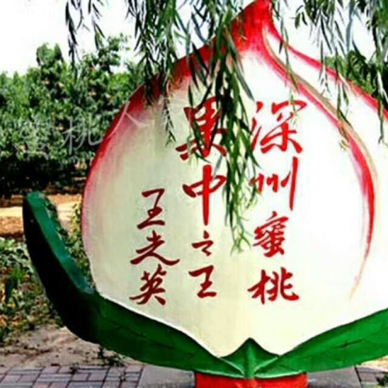 正宗深州蜜桃