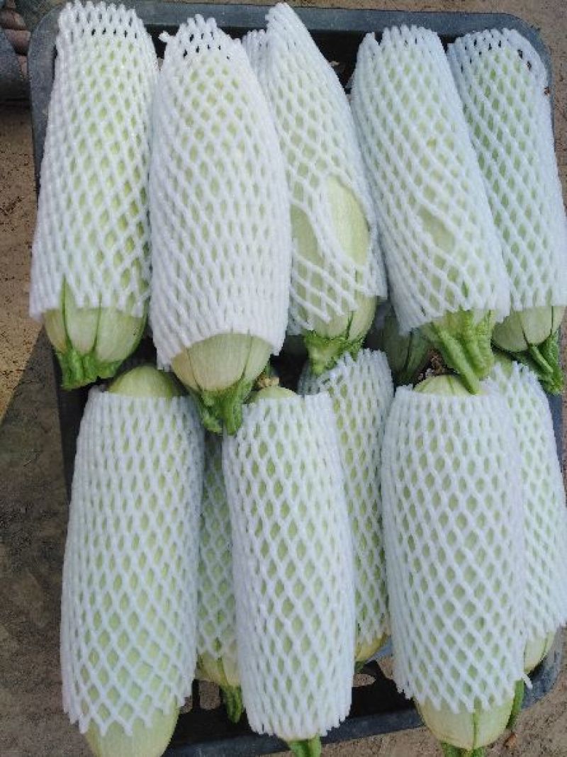 油胡芦，鲜绿色，条直，