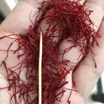 伊朗藏红花，一手货源