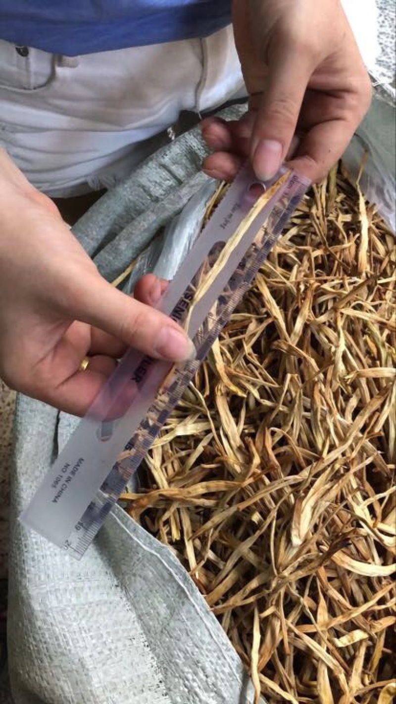 黄花菜袋装一级