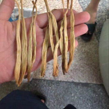 黄花菜袋装一级