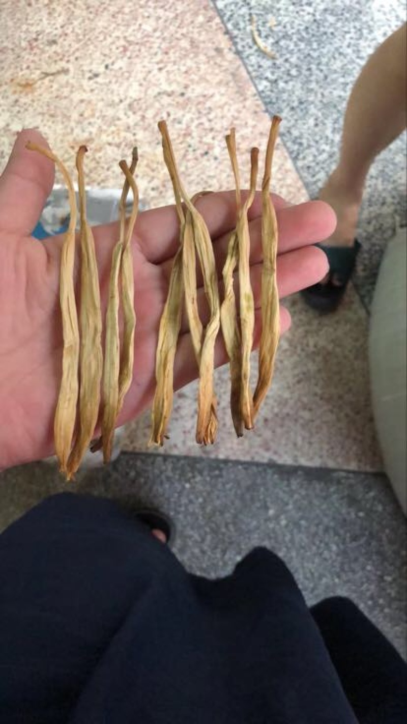 黄花菜袋装一级