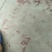 桃胶