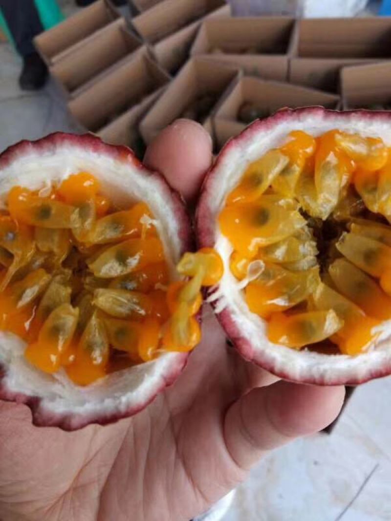 紫香一号百香果，来自赣南高山产区