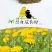 蒲公英新种子芽率95％
