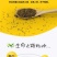 蒲公英新种子芽率95％