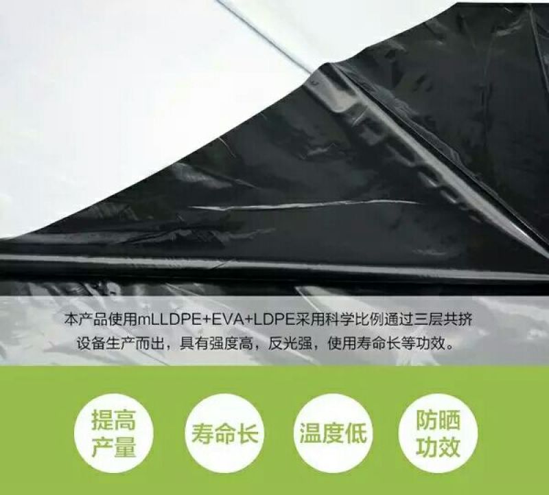大棚膜黑白膜黑白膜养殖大棚膜防水塑料食用菌膜防晒遮光隔