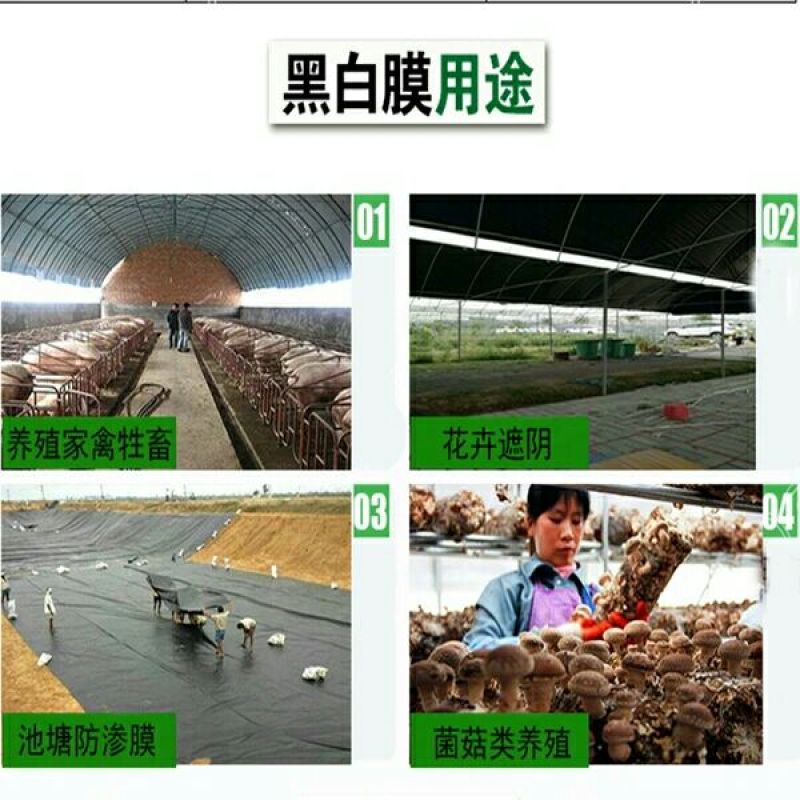 大棚膜黑白膜黑白膜养殖大棚膜防水塑料食用菌膜防晒遮光隔