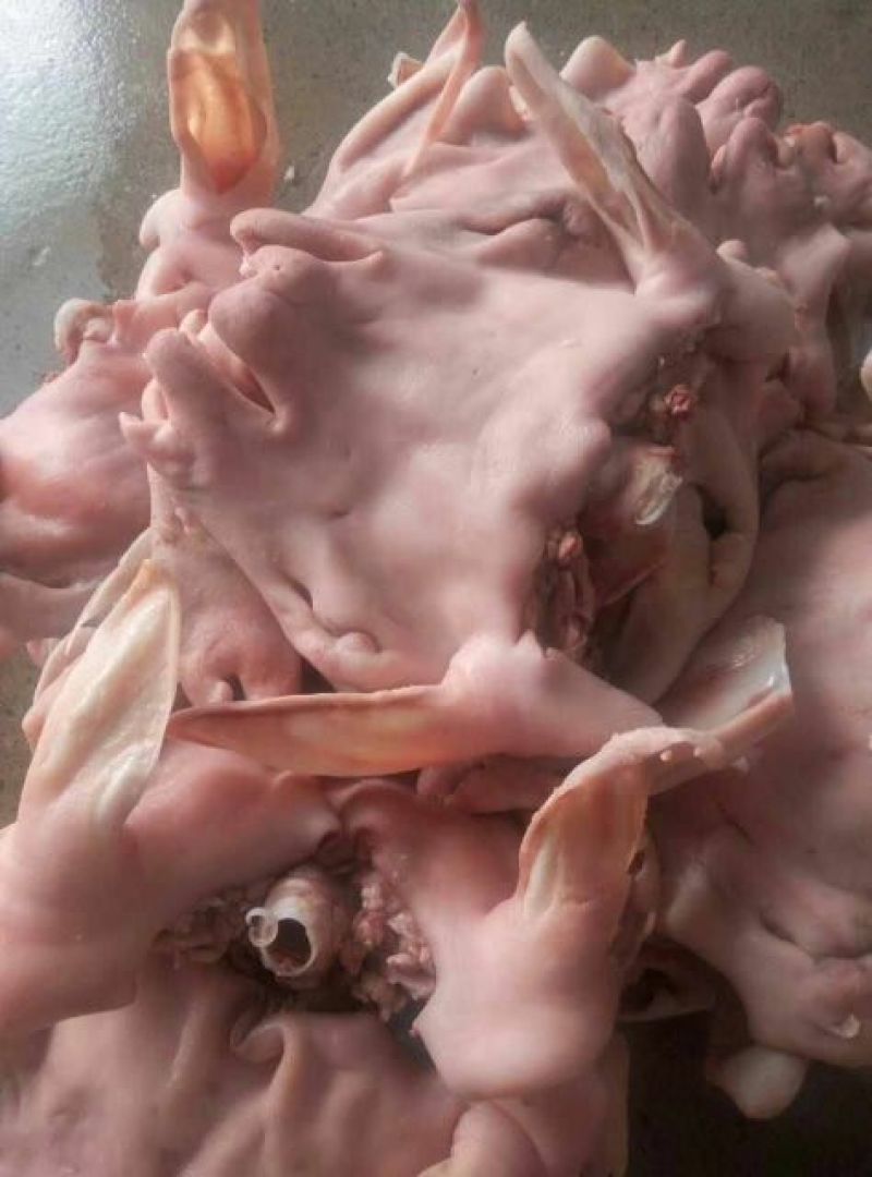 羊头肉
