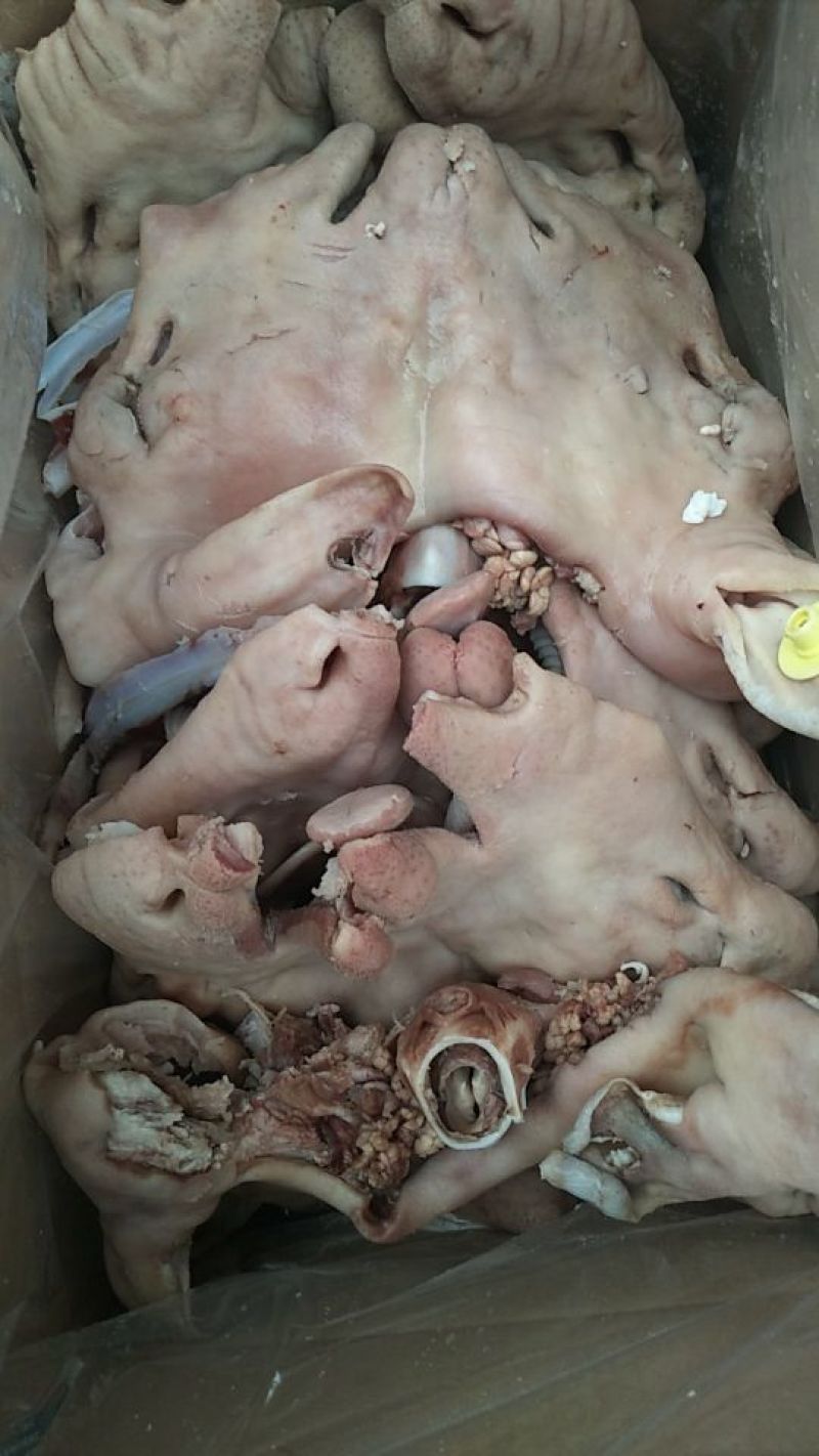 羊头肉