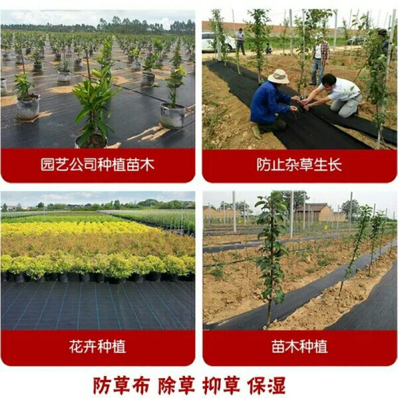除草布，防草布，抗老化果园果树防草除草地布耐用透气