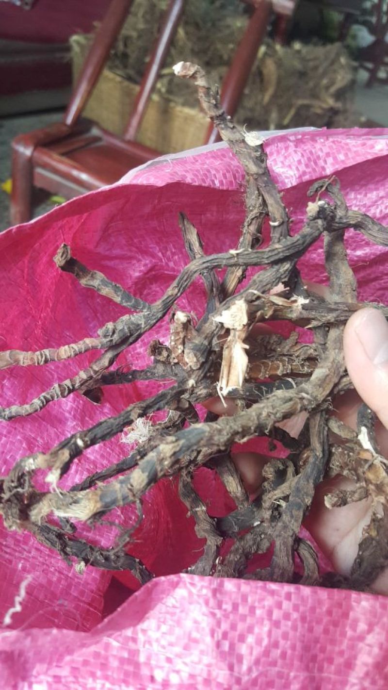 石菖蒲，大别山野生菖蒲，精挑细选，无土杂，