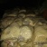 新鲜干豆渣