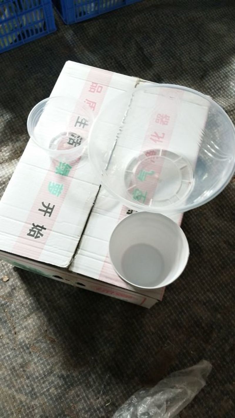 180自吸水盆，各种颜色都有5毛一2元/个。100起批