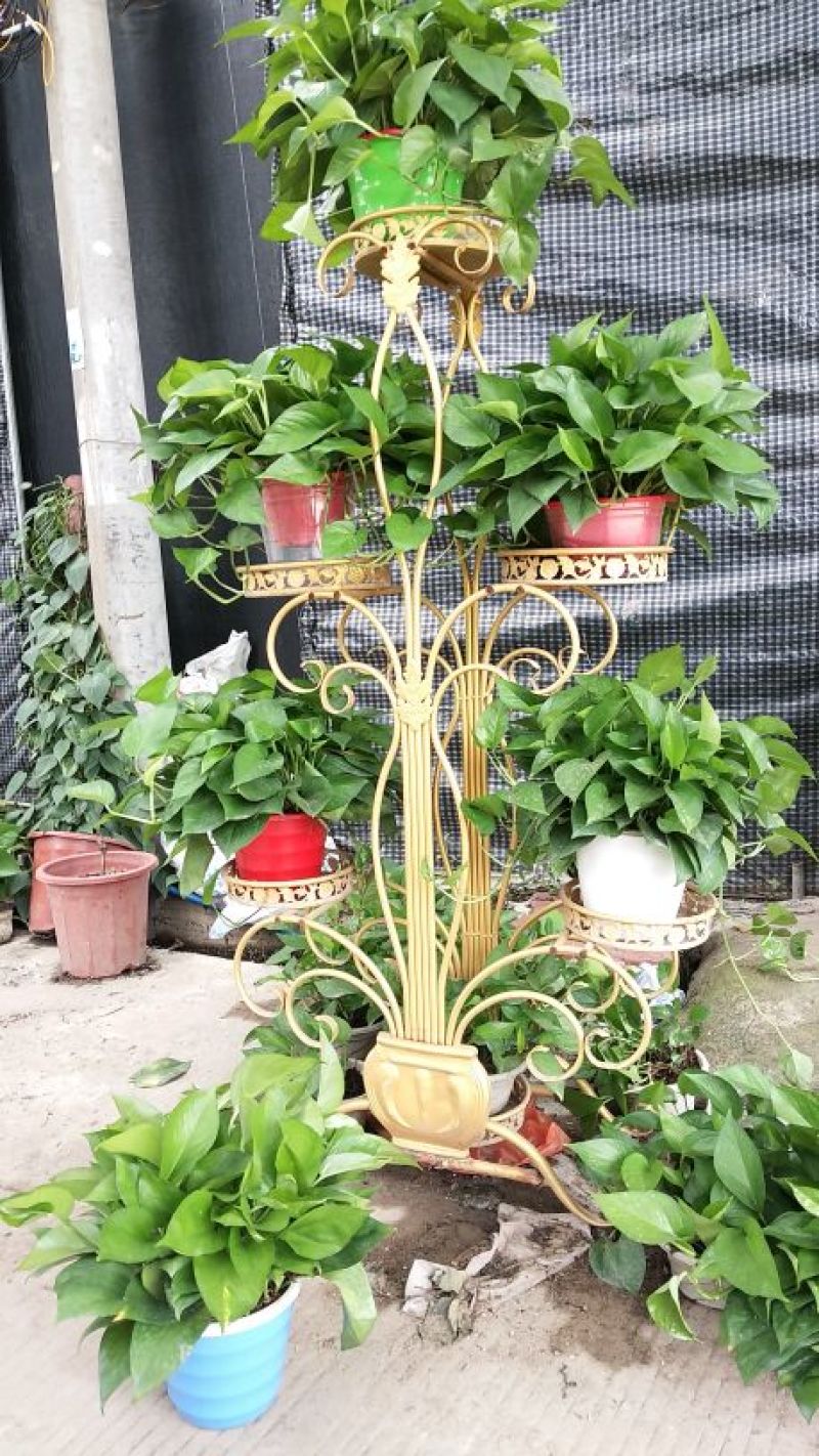 180自吸水盆，各种颜色都有5毛一2元/个。100起批
