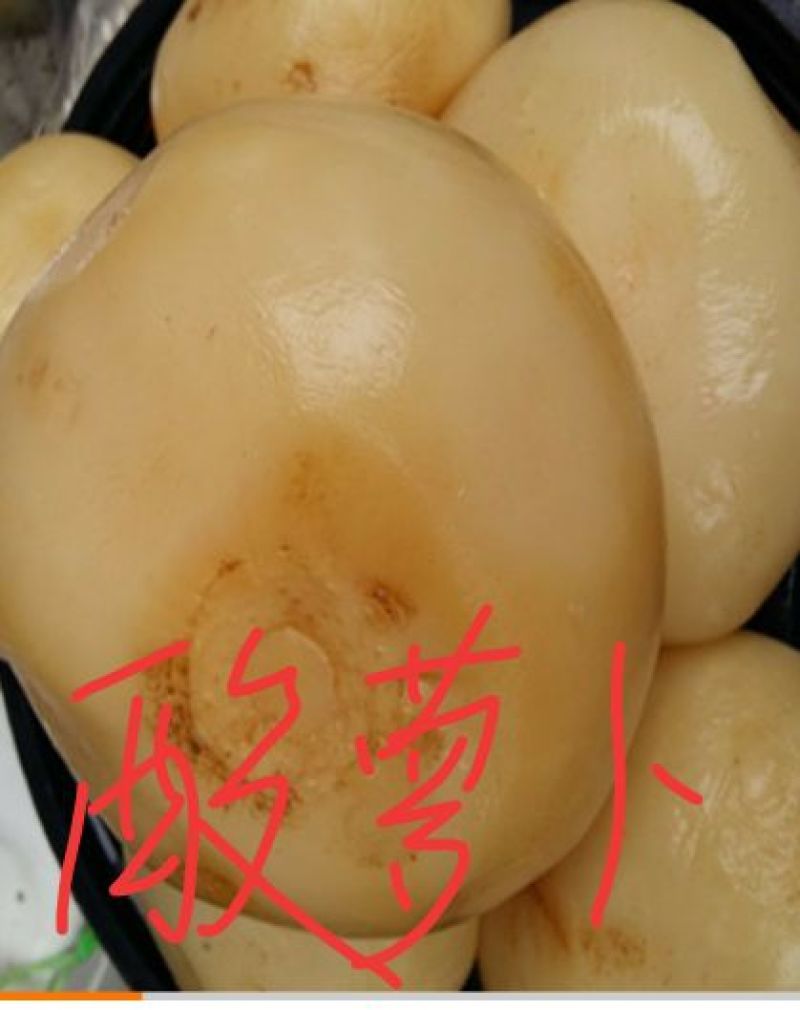 酸萝卜