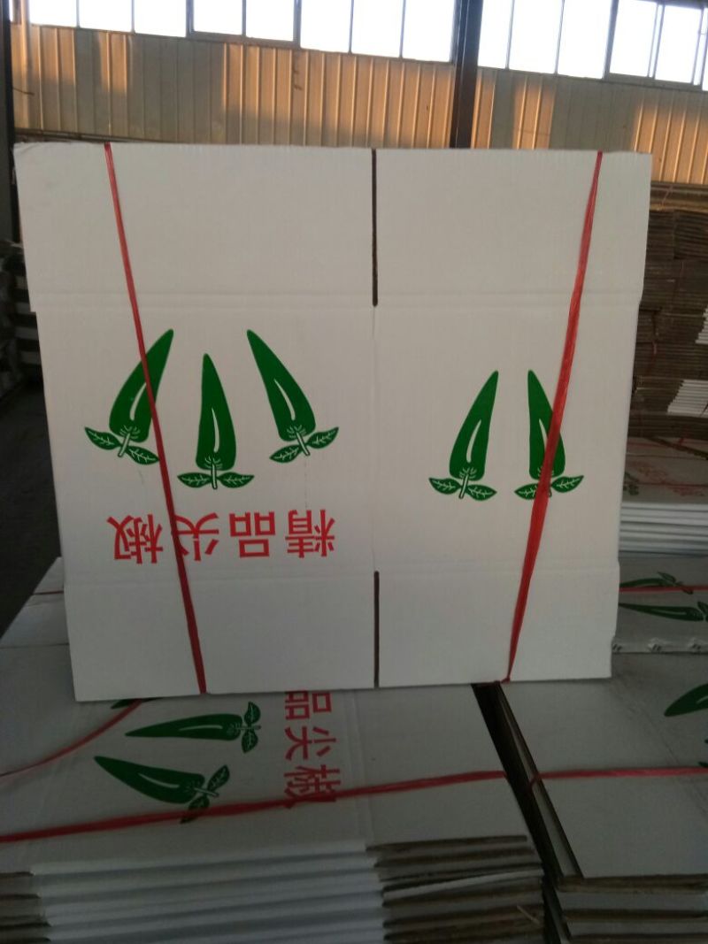 纸箱2号（530*230*290）