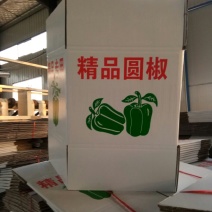 纸箱2号（530*230*290）