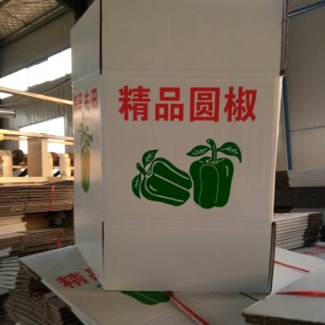 纸箱2号（530*230*290）
